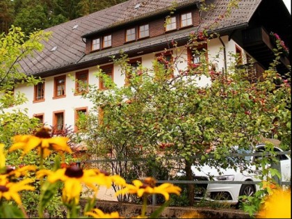 Foto: Goldenen R&amp;ouml;ssle